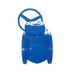 1105 1106 1605 Eccentric Plug Valve