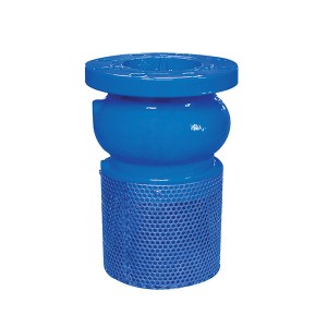 Special Price for Dual Plate Check Valve - 1120 Foot Valve – Convista