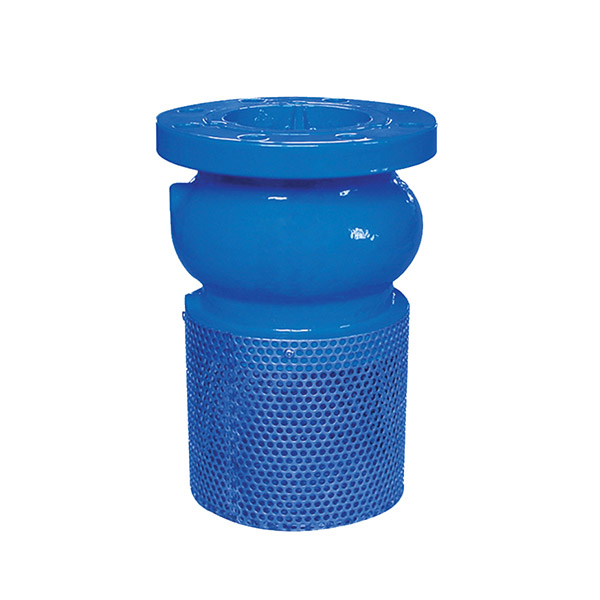 Best-Selling Inner Assemble Safety Valve - 1120 Foot Valve – Convista