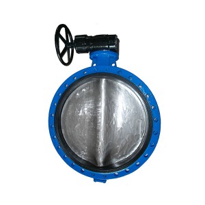 2122 EN593 Center Line Butterfly Valve