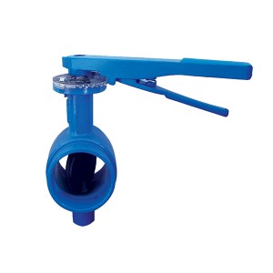 2902 Grooved Butterfly Valve