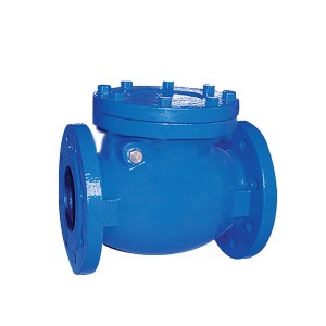 2020 China New Design Self-Operated Safety Shut-Off Valve - 5101 Swing Check Valve – Convista