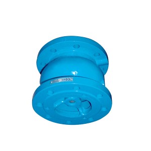 5106 Globe Silent Check Valve