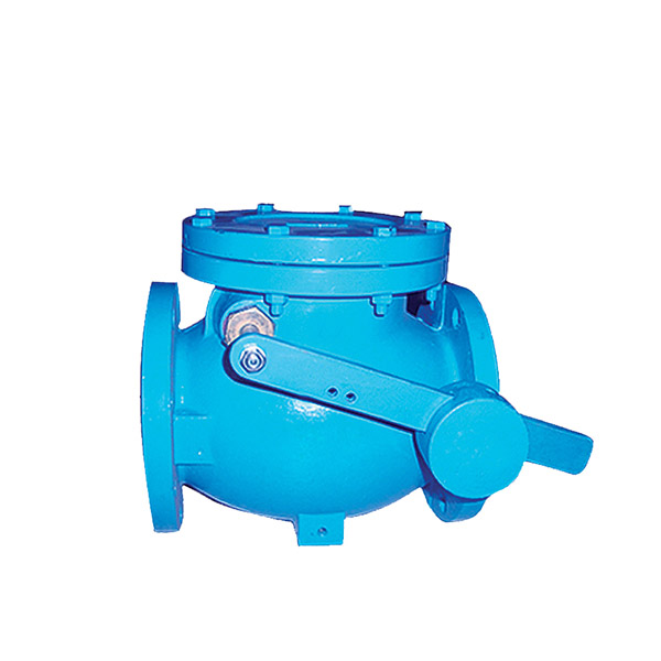 China New Product Air Compressor Safety Valve - 5108 Swing Check Valve – Convista