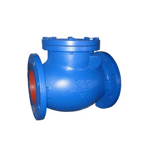 Discount Price Three-Way Valve - 5201 Swing Check Valve – Convista