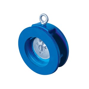 Top Quality Spring Loaded Low Lift Thread Type Safety Valve - 5301 Wafer Swing Check Valve – Convista