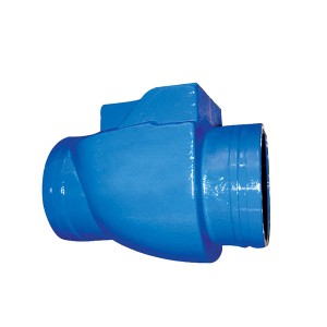 Top Suppliers Double Orifice Air Relief Valve - 5904 Grooved Ends Swing Check Valve – Convista