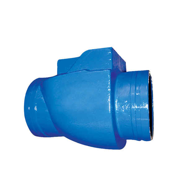 Factory supplied Mj Series Spray Water Control Valve - 5904 Grooved Ends Swing Check Valve – Convista