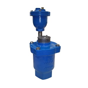 High definition Balance Valve - 9709 Double Orifice Air Relief Valve – Convista