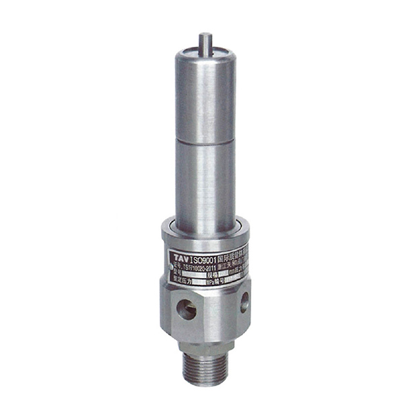 Newly Arrival Radiator Valve - Air compressor safety valve – Convista