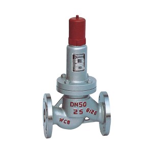 Good Quality Gas Pipeline Ball Valve - Back-flow safety valve – Convista