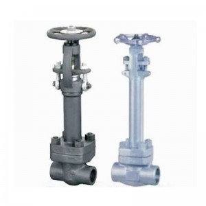 Rapid Delivery for Dual-Lever Safety Valve - Forged Steel Cryogenic Globe Valve – Convista