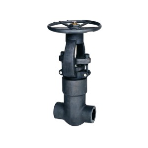 Forged Steel Self Sealing Gate Valve