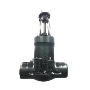 OEM/ODM China Carbon Steel Power Station Globe Valve - High-end gate valve for conventional island – Convista