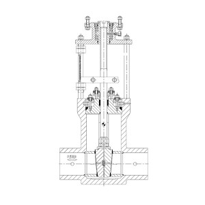 High-end gate valve for conventional island