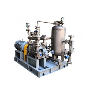 Factory wholesale Bz Pipeline Emulsion Pump - LVP Water Ring Vacuum Pump – Convista