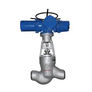 Steam exhaust globe valve