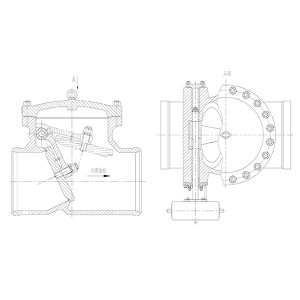 Steam extraction check valve