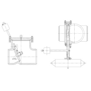 Steam extraction check valve