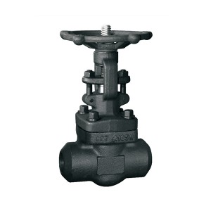 Z61Y Forged Steel Welding Gate Valve