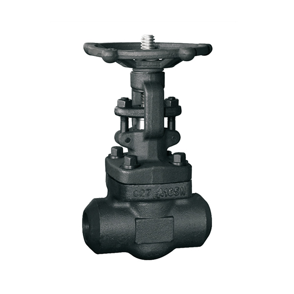 Online Exporter Manual Filter Valve - Z61Y Forged Steel Welding Gate Valve – Convista